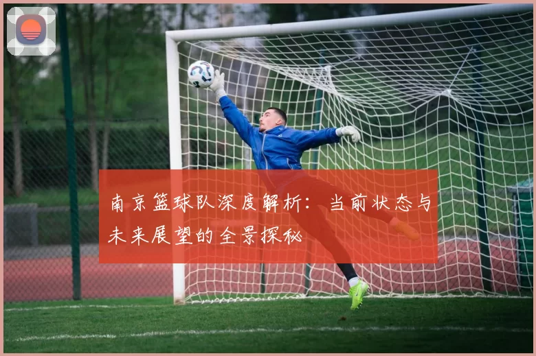 南京篮球队深度解析：当前状态与未来展望的全景探秘